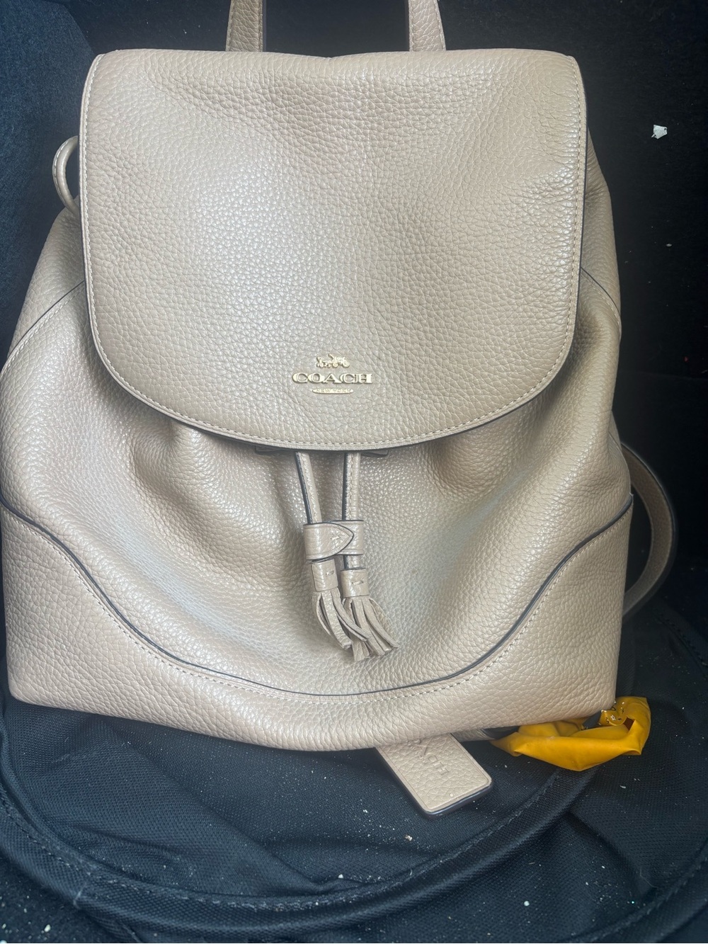 Coach Taupe Drawstring Leather Backpack